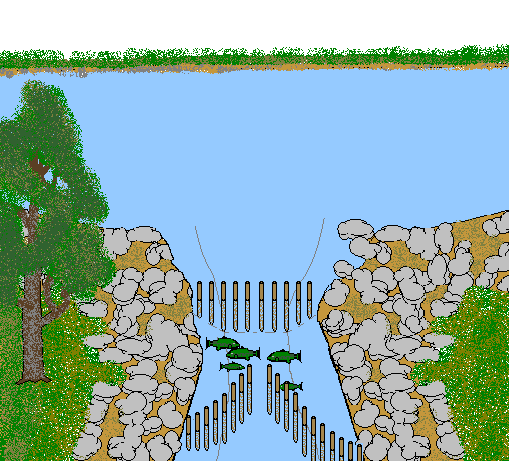 Fishing Weir in River - Fish Trap